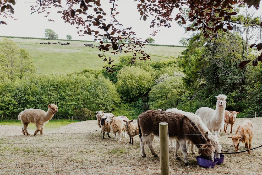 Smeaton Farm - B&amp;B 24/32
