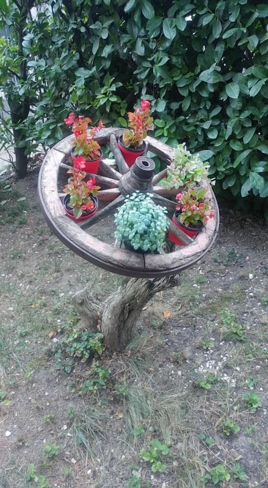 B&B Il Cedro 9/27