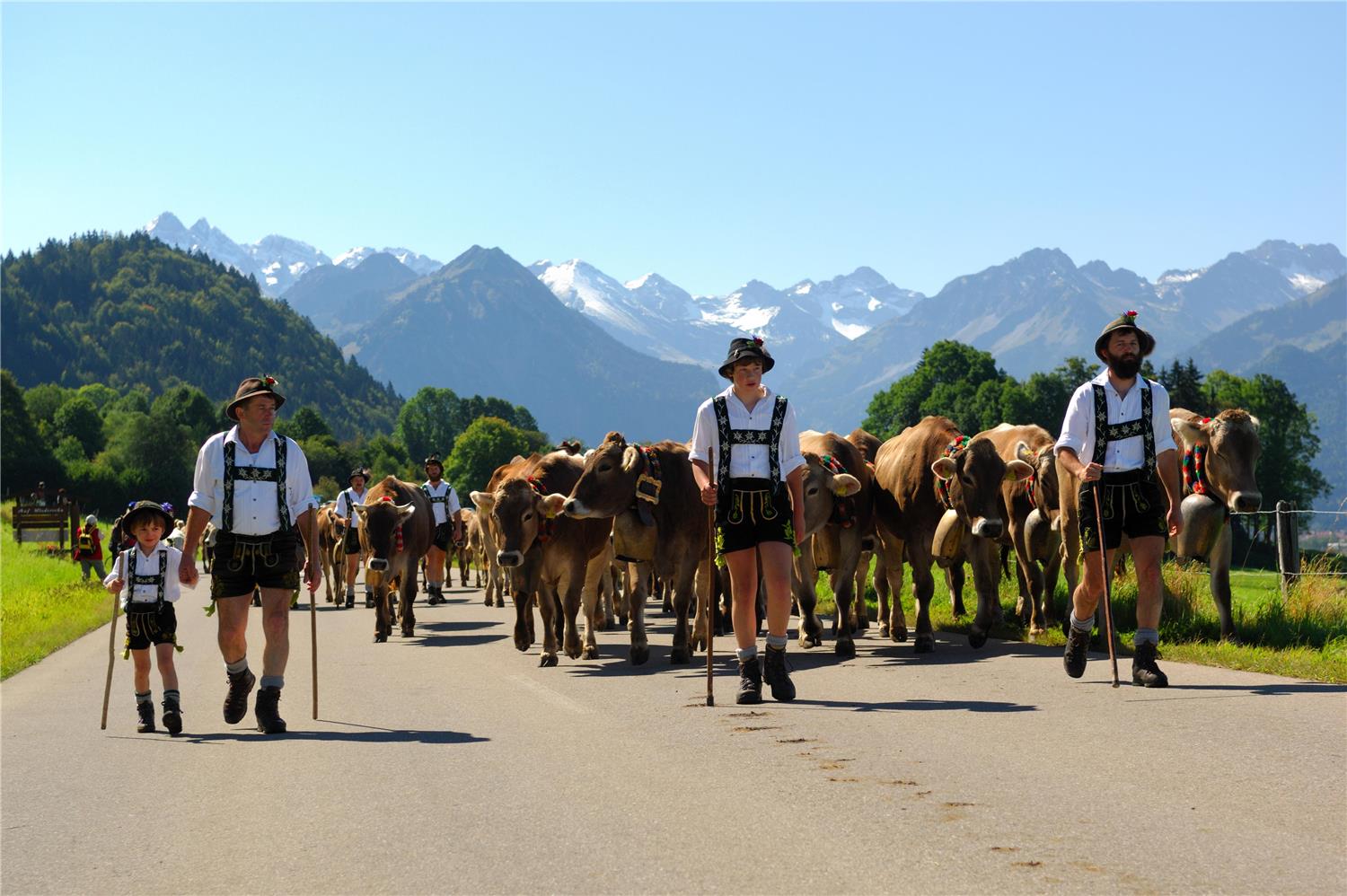 Alpenhof Oberstdorf Hotel & Spa BW Signature Collection 14/30