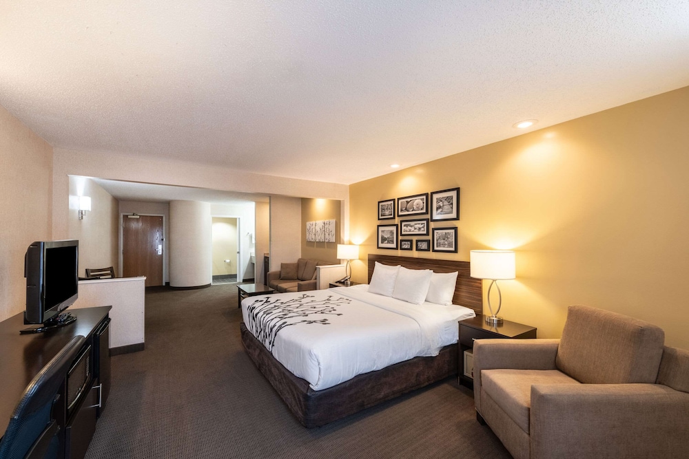 Upgrade, Suite, King Bed