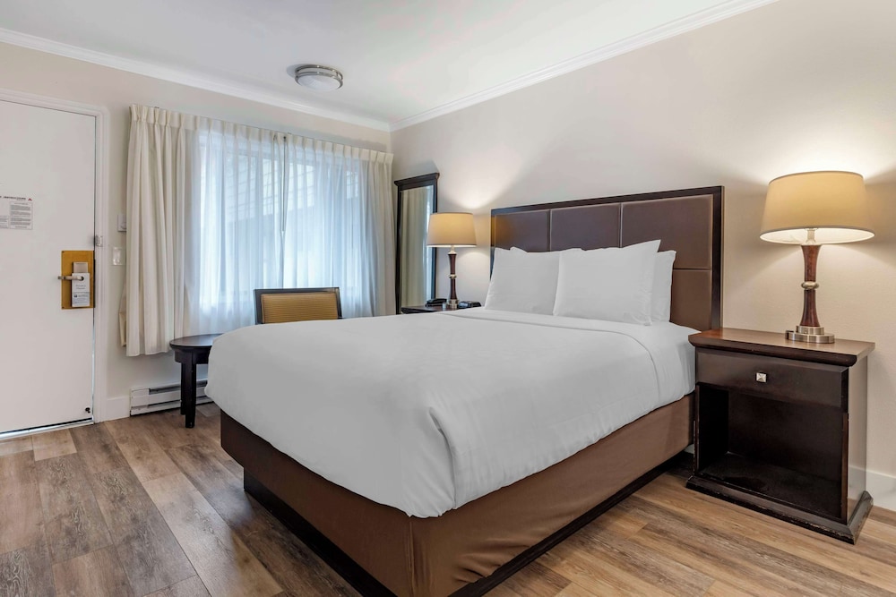 STANDARD, QUEEN BED, ACCESSIBLE