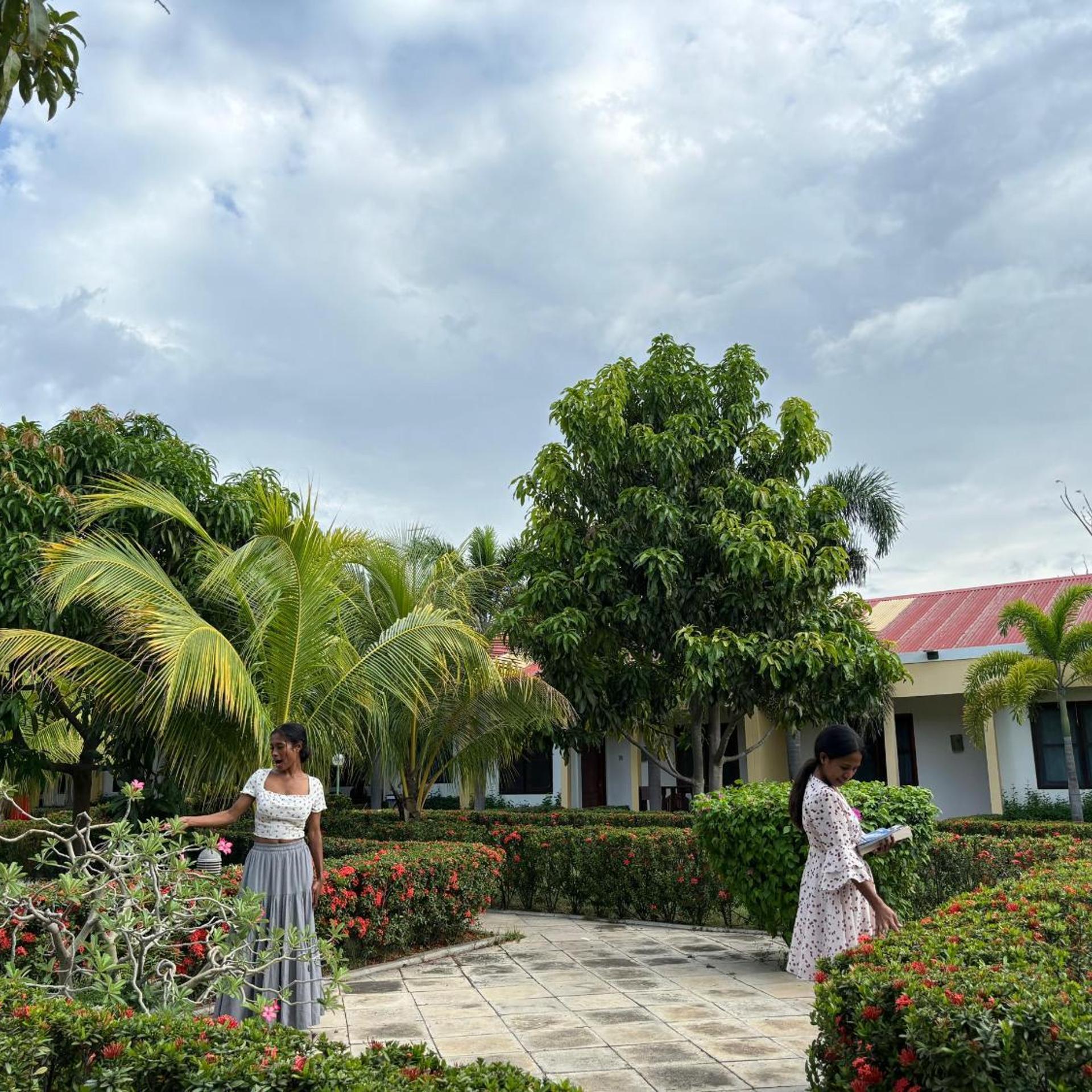 Palm Malinamoc Hotel 39/49
