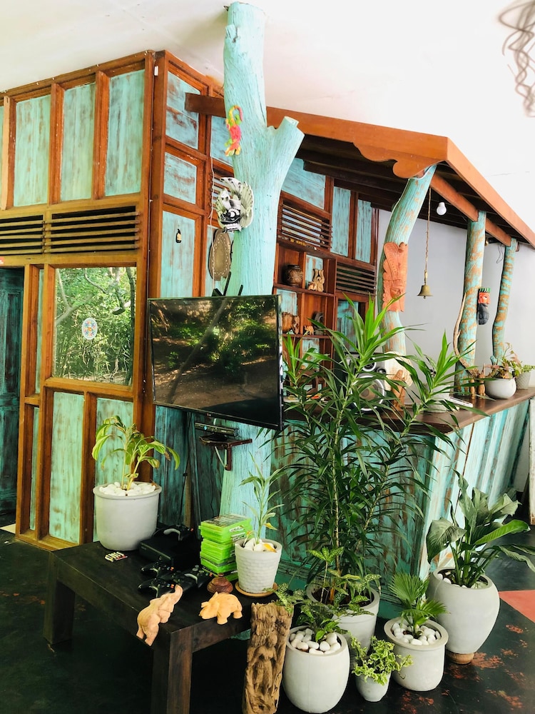 Hungry Lion Resort 24/43
