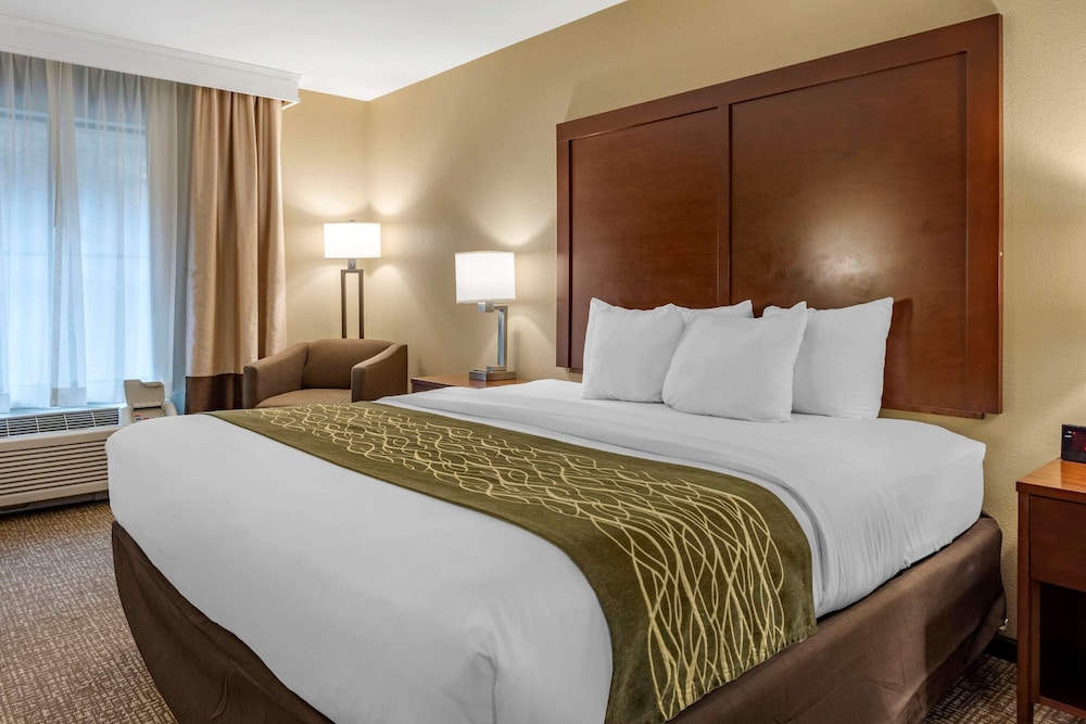 ROOM, KING BED, ACCESSIBLE