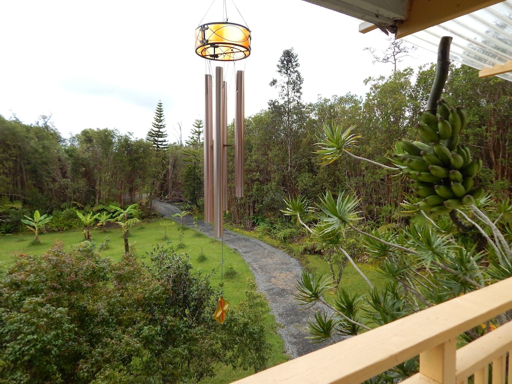 Fern Forest Getaway 36/44