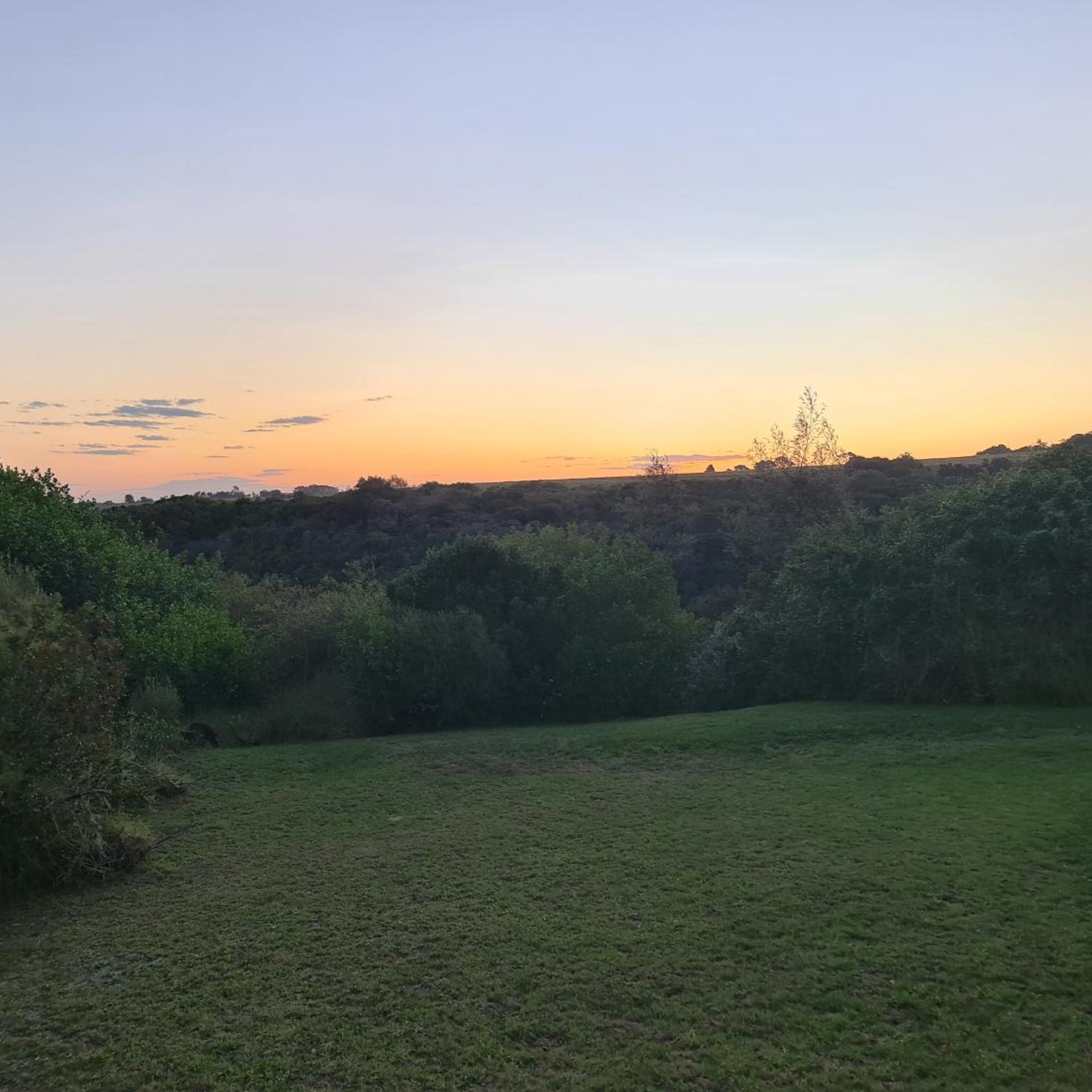 Blue Whale Resort 34/50