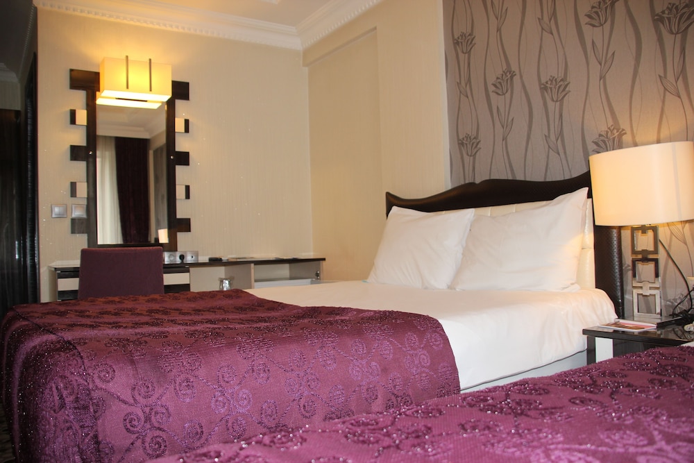 Ankara Risiss Hotel 30/74
