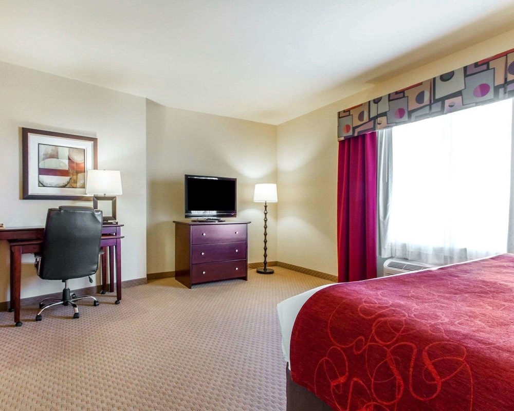 Comfort Suites Florence Shoals Area 12/46