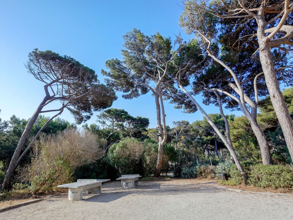 surroundings