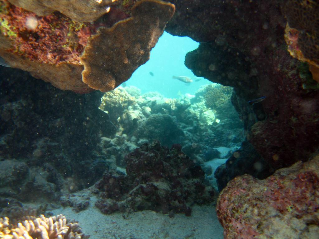 NINGALOO CORAL BAY 22/26