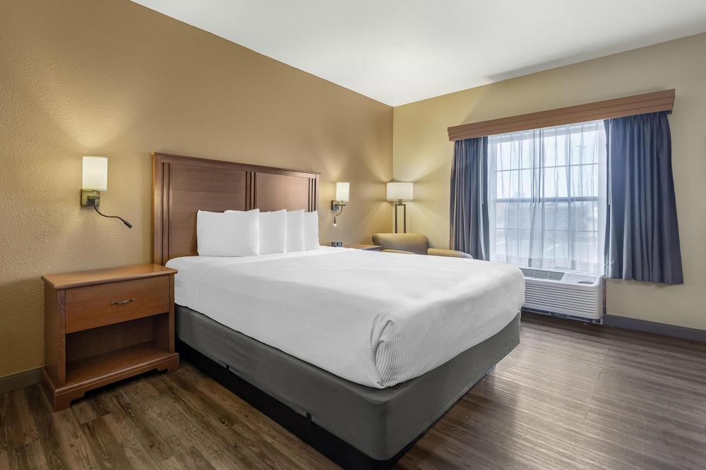 Standard, King Bed, Pet Friendly