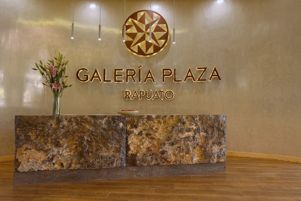 Galeria Plaza Irapuato 34/67