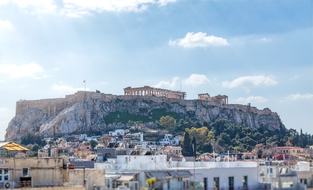 Athens Ivy 48/50