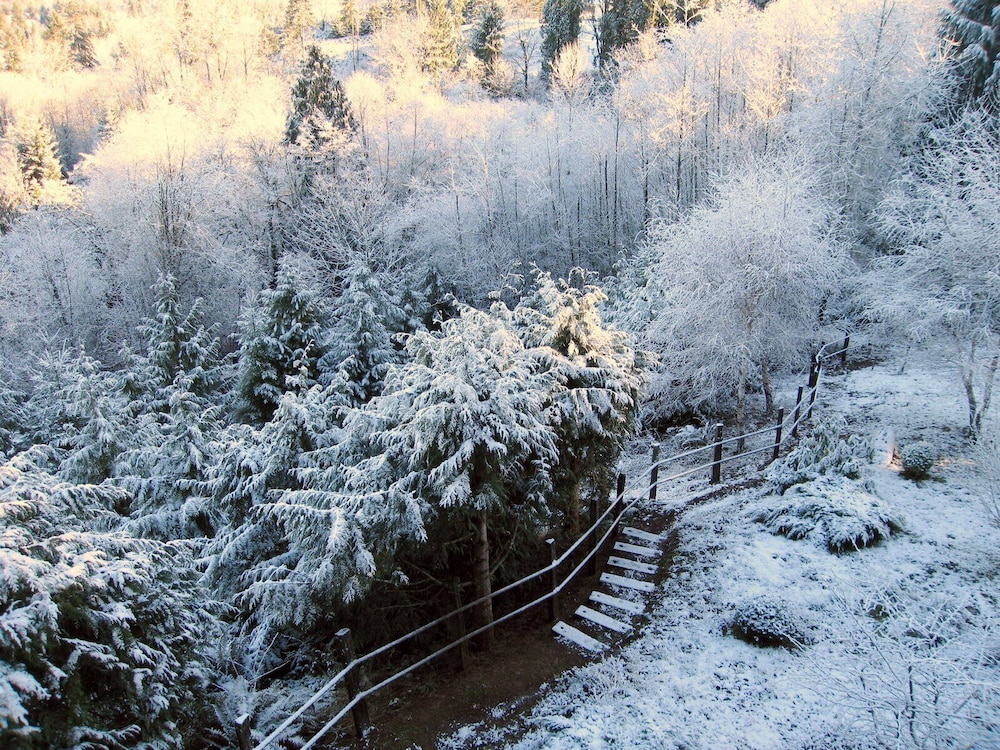 MapleRidge House: A BnB For All Seasons 44/50