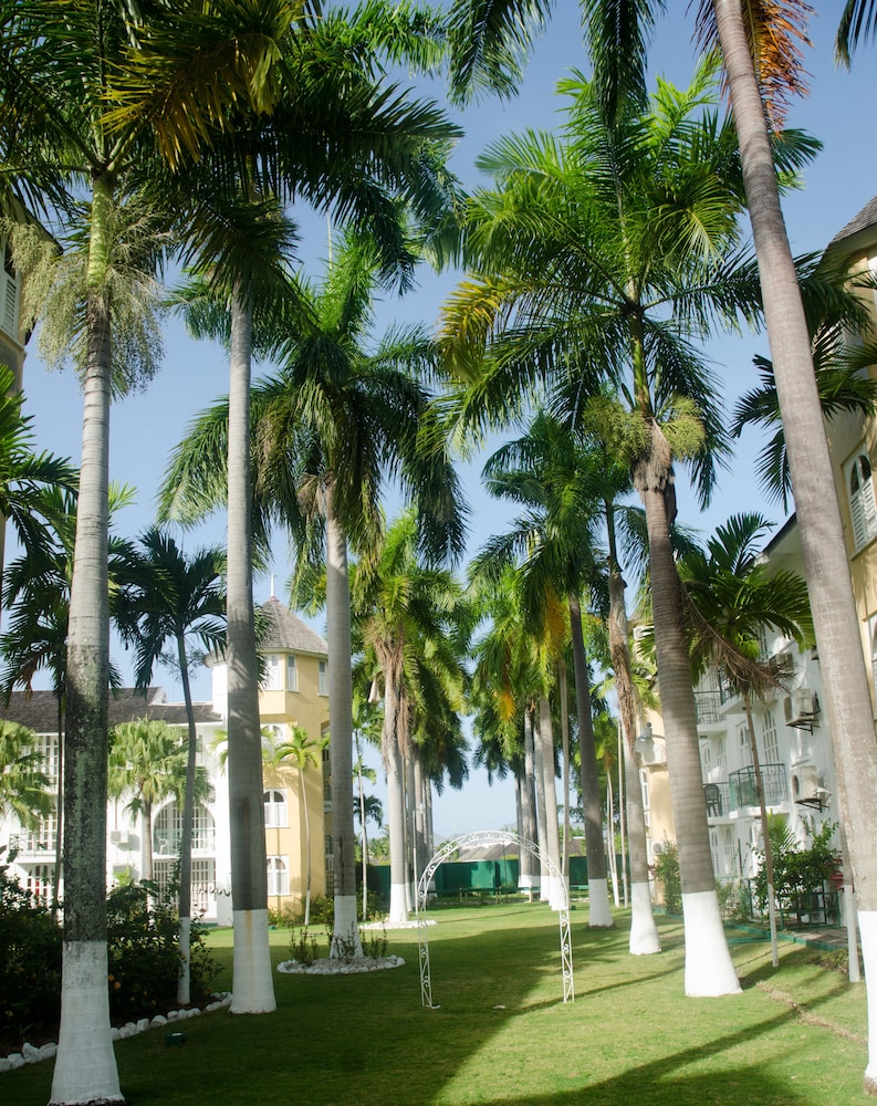 Conch Shell Beach Studio At Sandcastles Resort 39/48