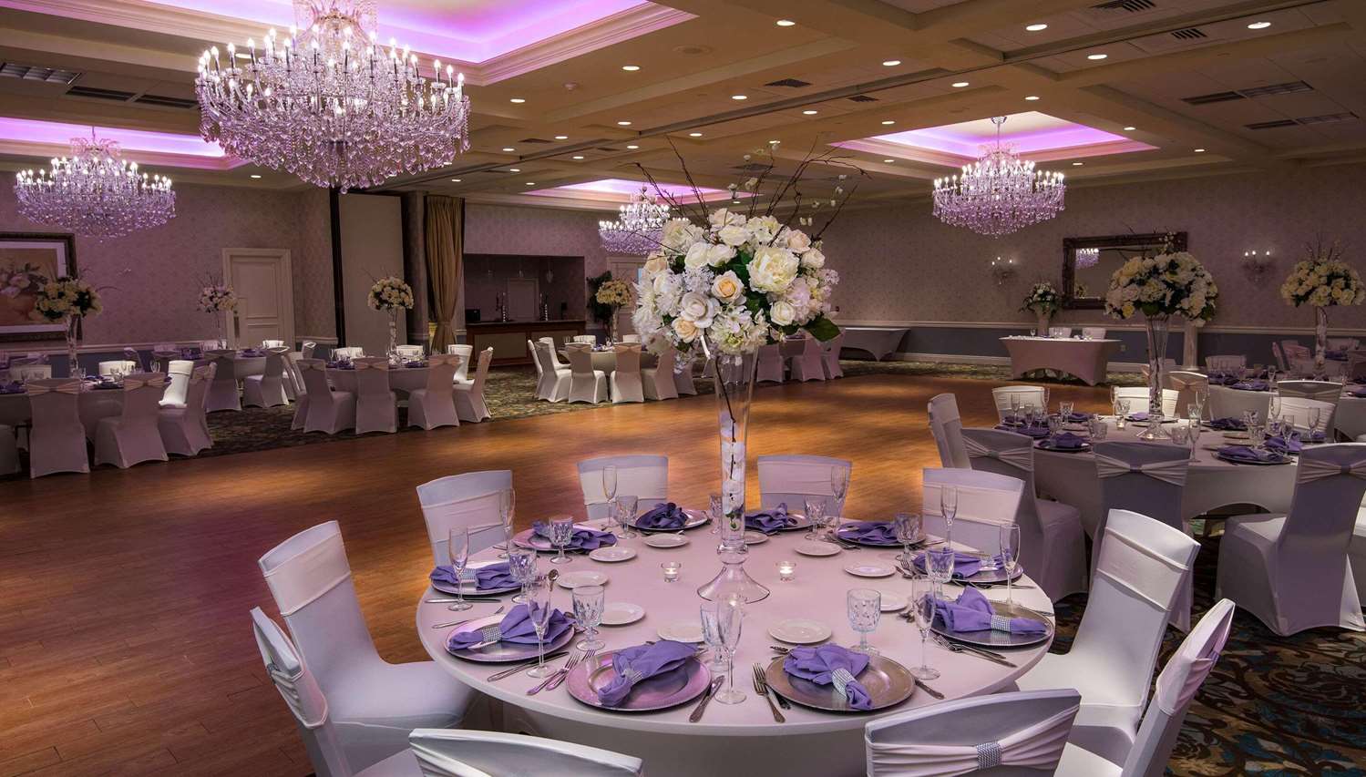 Radisson Hotel Freehold 8/17
