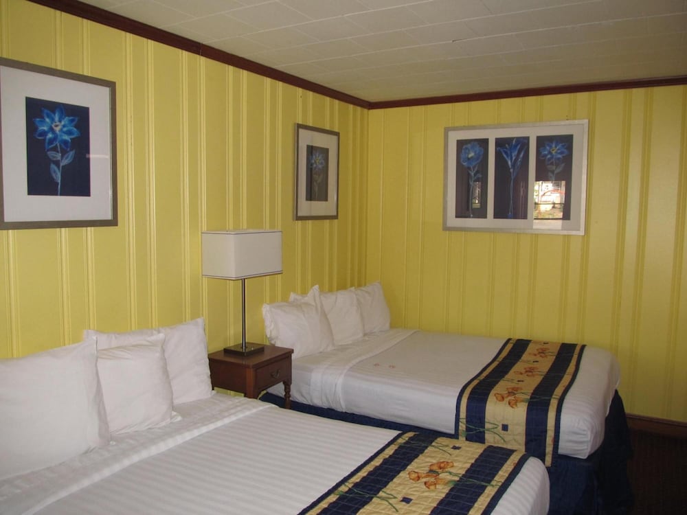 Americas Best Value Inn 5/45