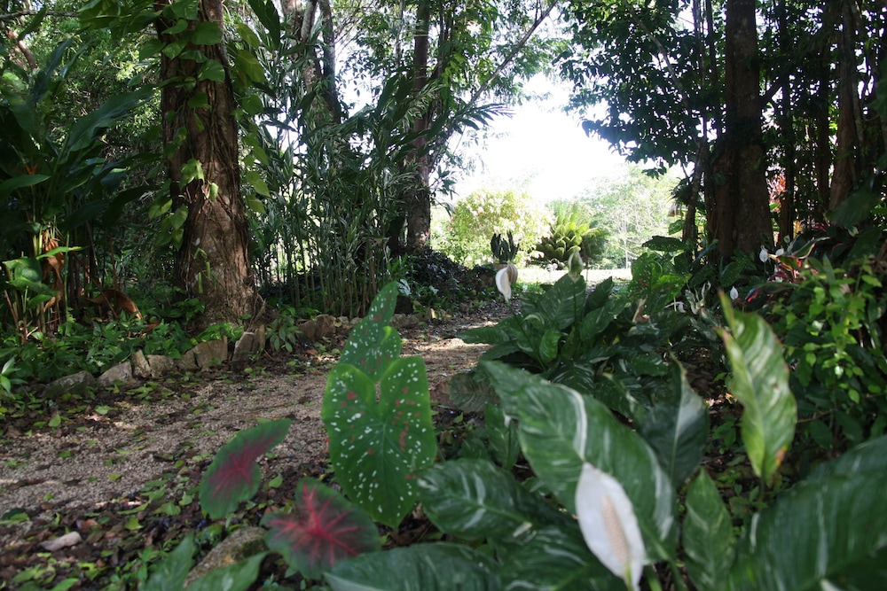 Tanager RainForest Lodge 52/64