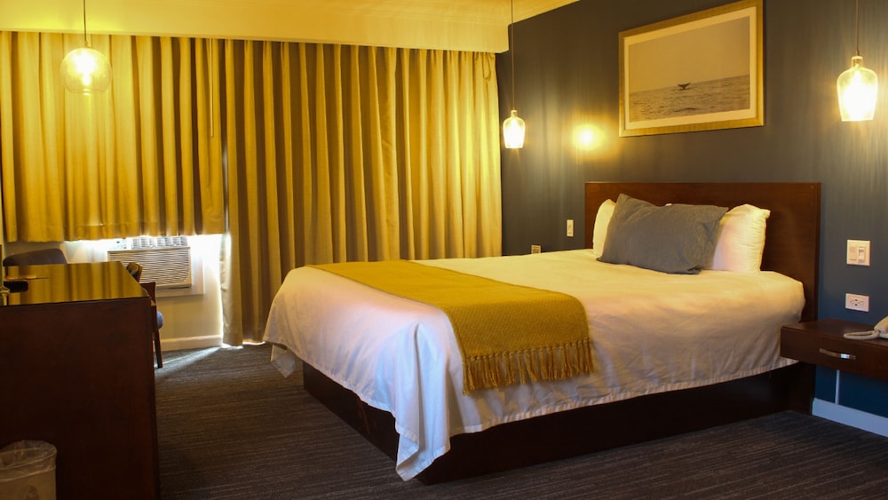 Corona Hotel And Spa 18/57