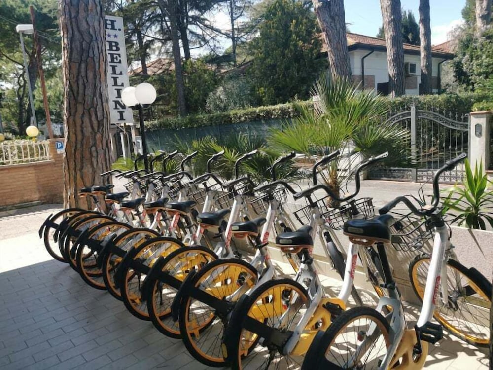 Bellini 35/50
