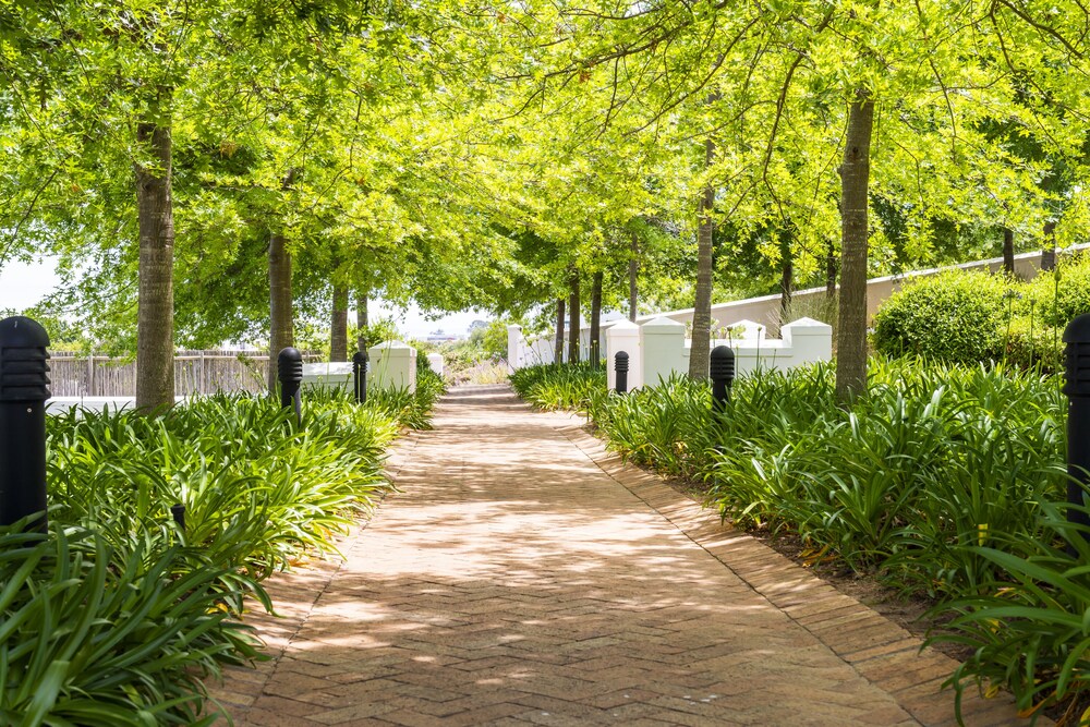 De Zalze Lodge 56/66