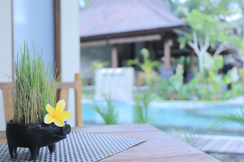 Masia Villa Ubud 6/67