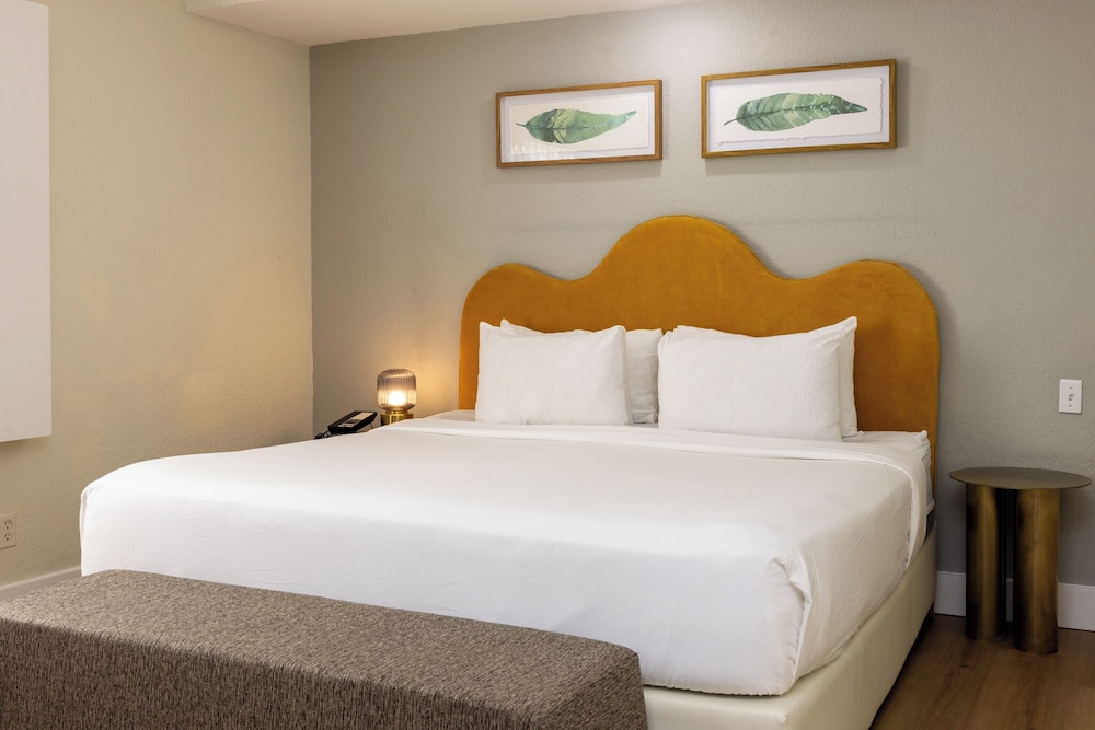 Studio, King Bed, Kitchenette