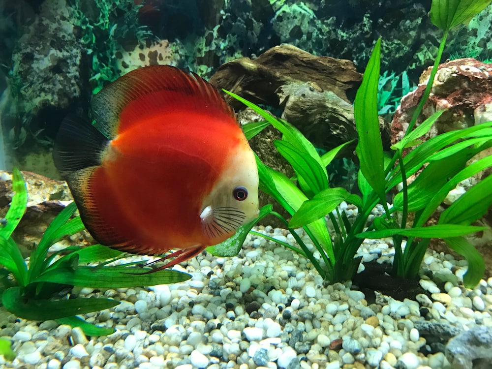 サニー A ホテル 写真3