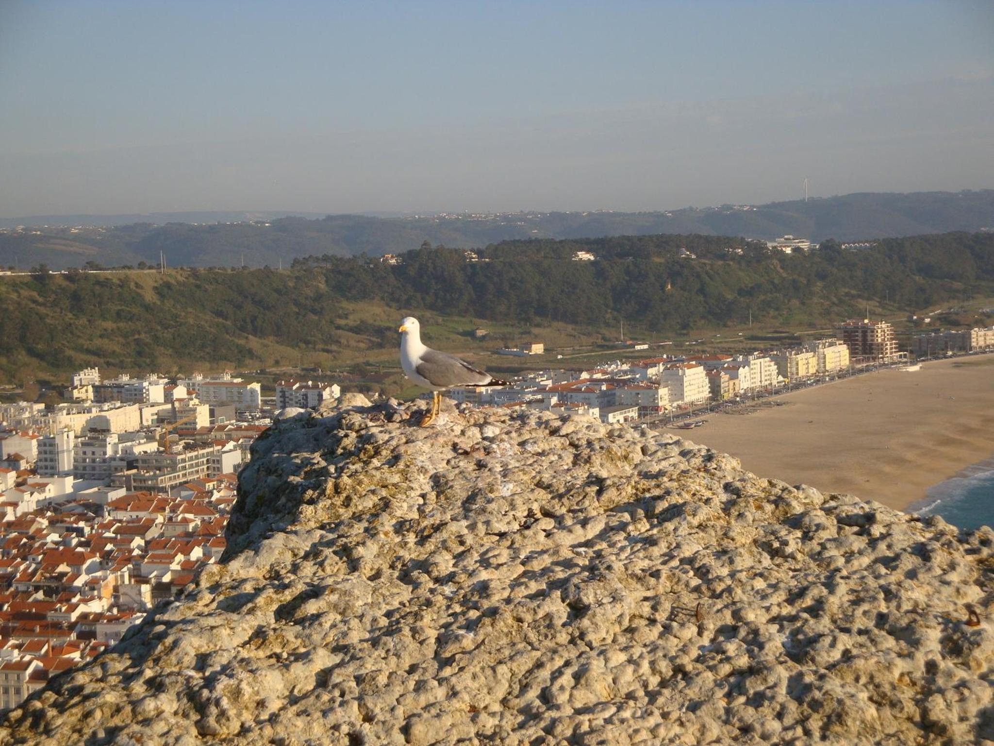 Hotel Ancora Mar Nazare 35/44