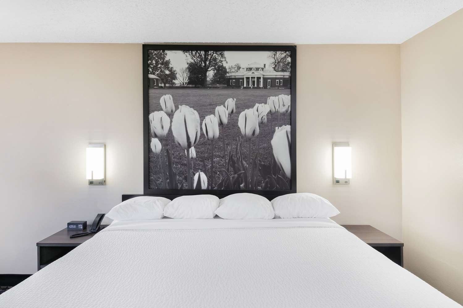Super 8 by Wyndham Charlottesville 33/51