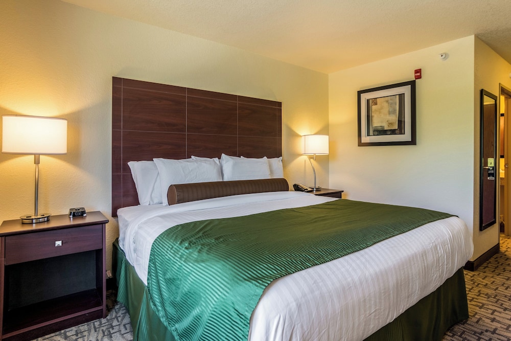 ROOM, QUEEN BED, ACCESSIBLE