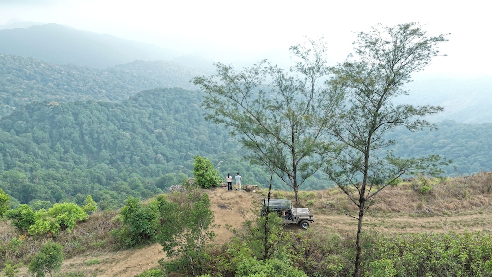 The Tamara Coorg 45/49