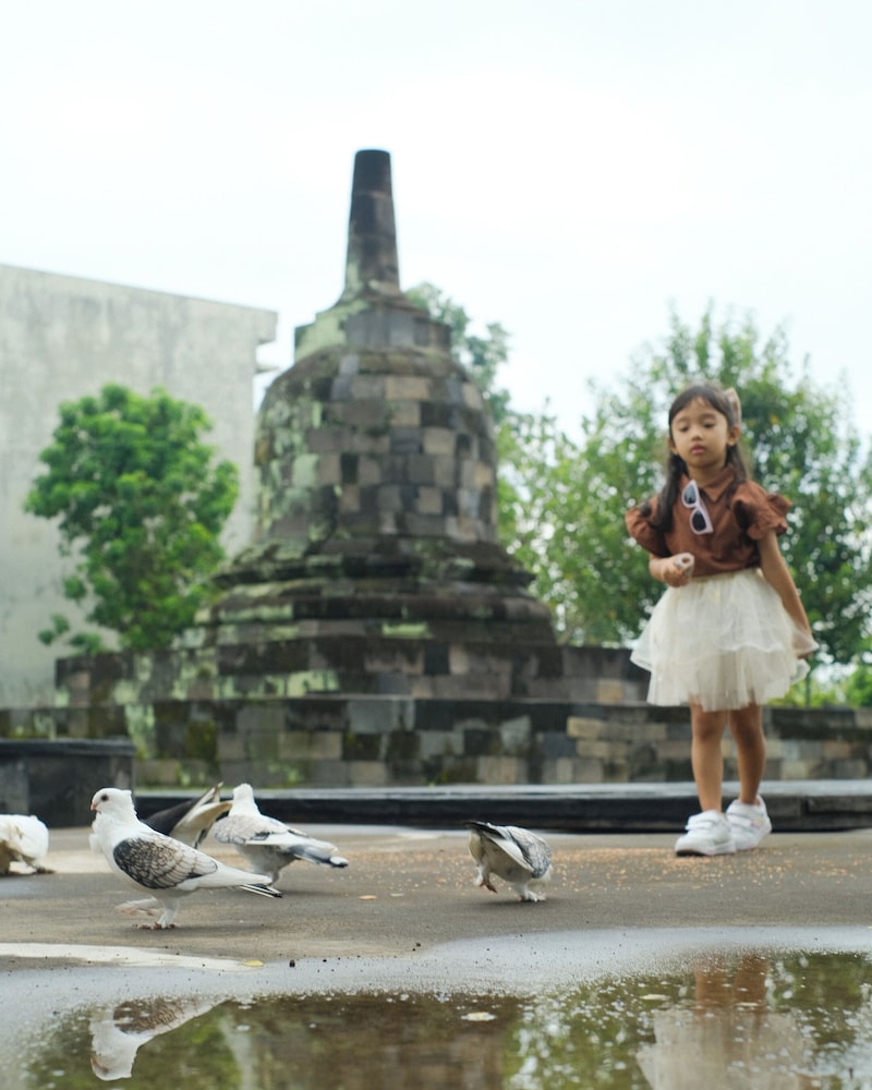 Abhayagiri - Sumberwatu Heritage Resort 46/55