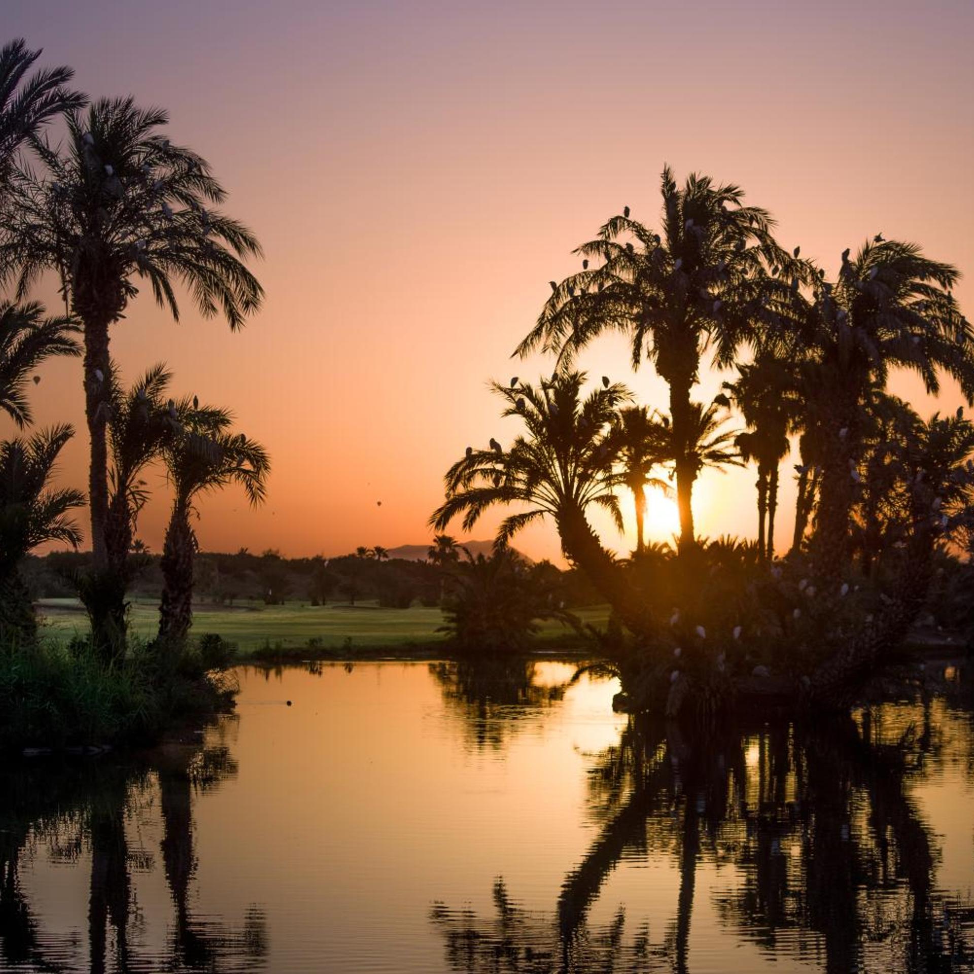 Golf Club Rotana 40/46