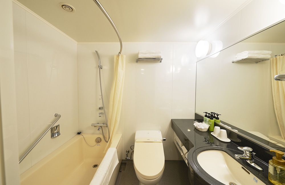 Sotetsu Fresa Inn Kawasaki-Higashiguchi 12/60