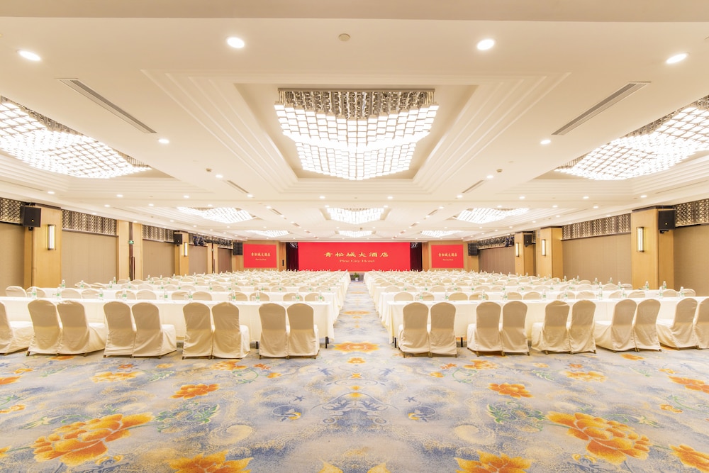 Jin Jiang Pine City Hotel 44/50