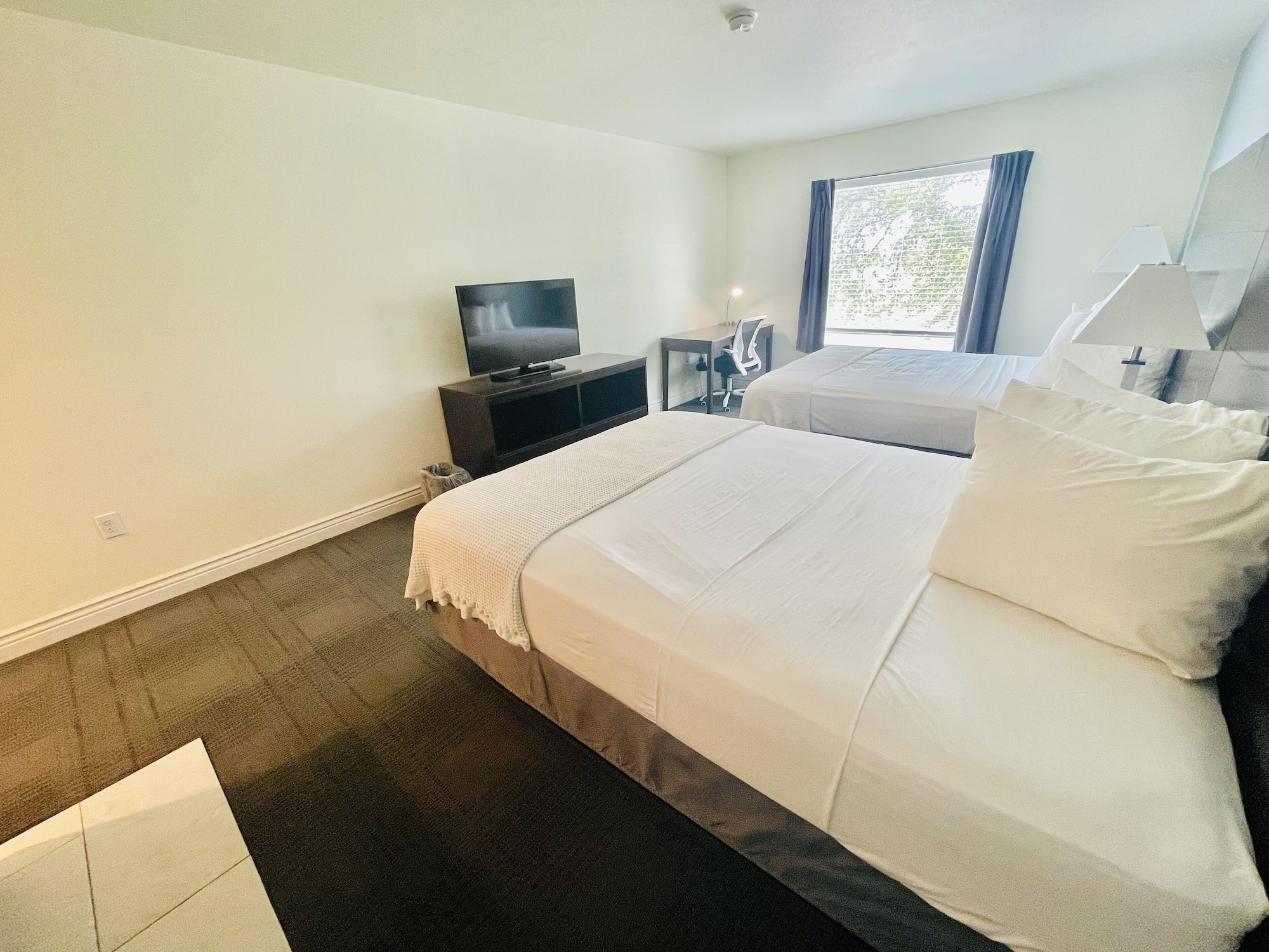 Design, 2 Queen Beds
