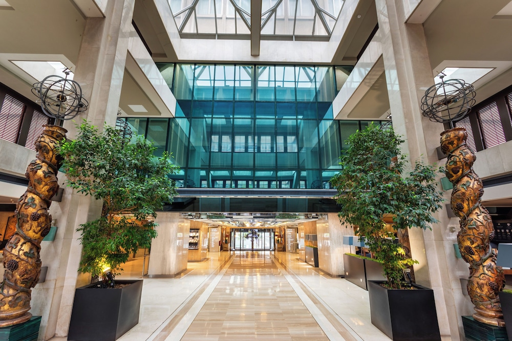 Melia Castilla Hotel in MADRID