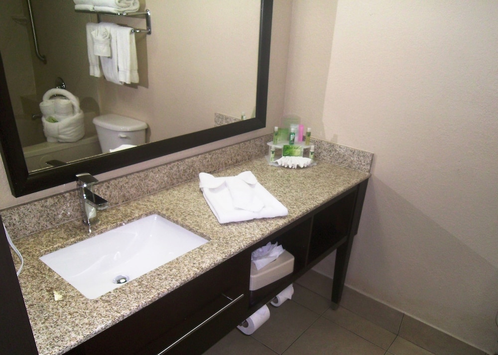 Holiday Inn Express Hotel And Suites Orange City 50/63