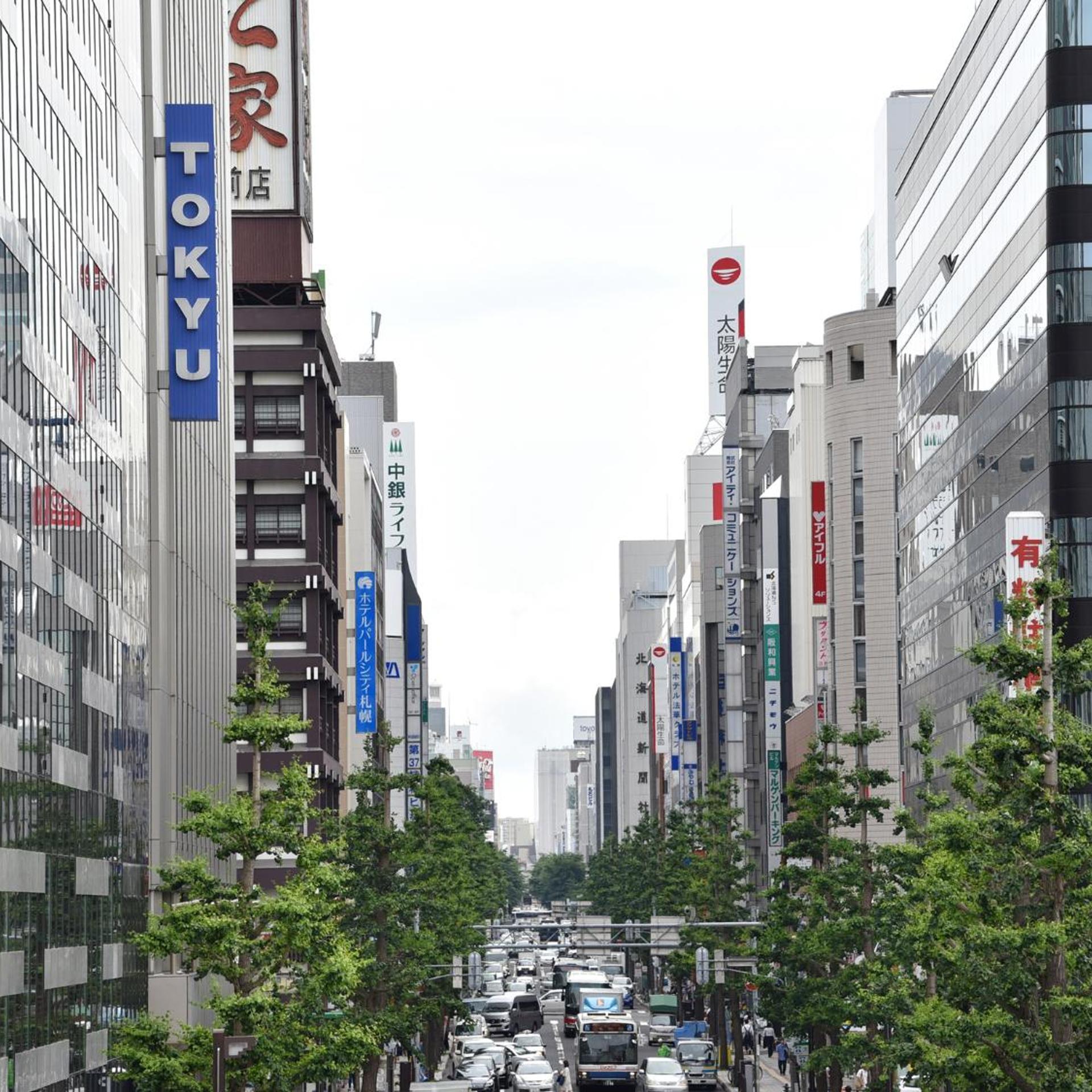 Hotel Pearl City Sapporo 39/46