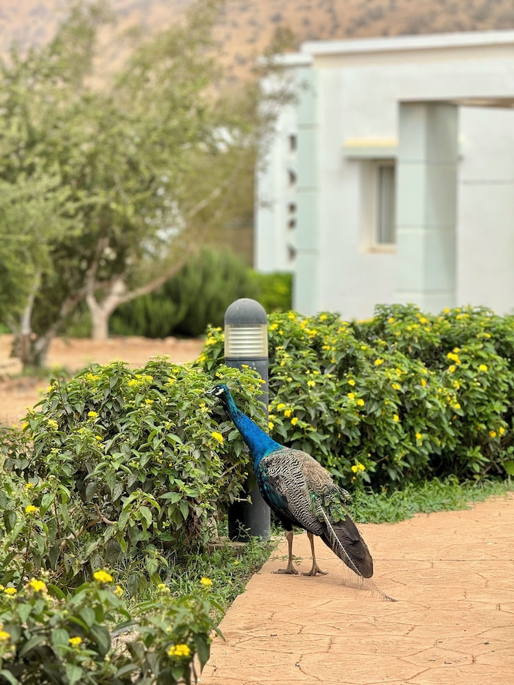 Lunja Village Taghazout 46/50