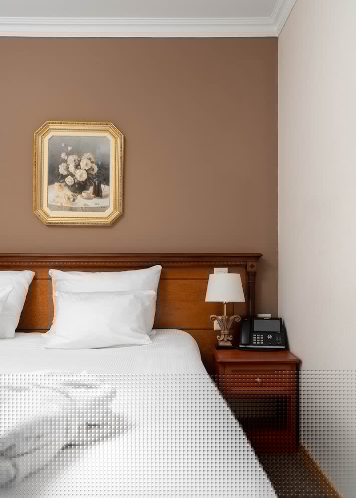 Hotel Le Rive 11/36