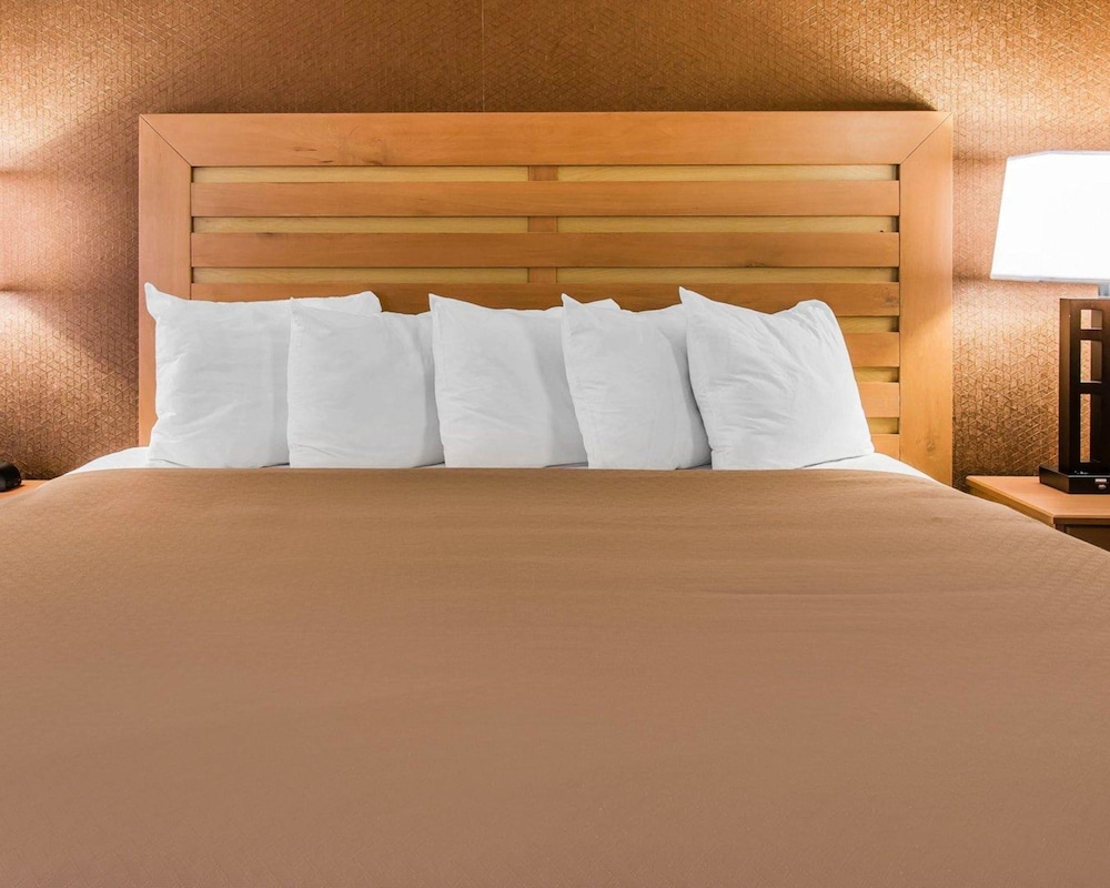 Quality Inn & Suites Warren - Detroit 14/43