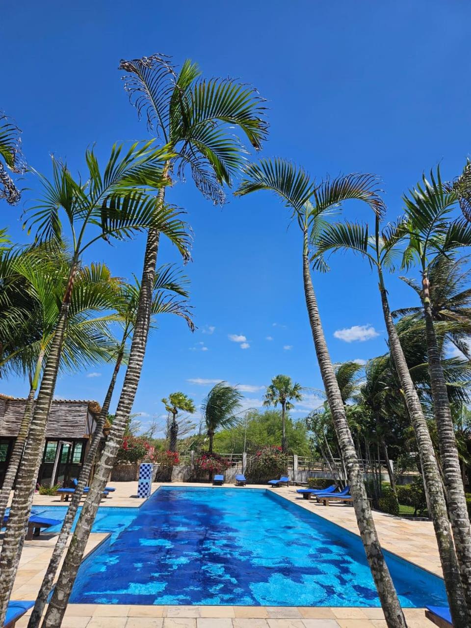 Eco Resort Vento Leste 6/17