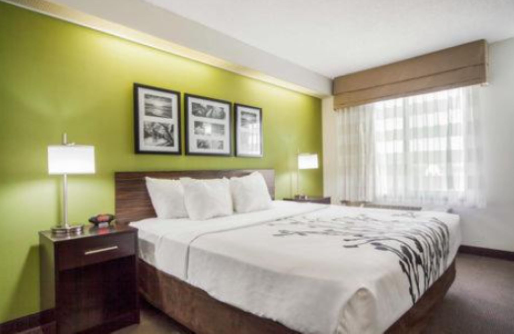 SUITE, KING BED