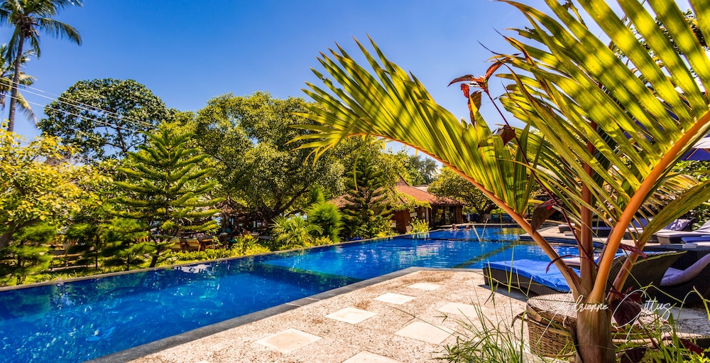 OCEANS 5 DIVE RESORT 73/77