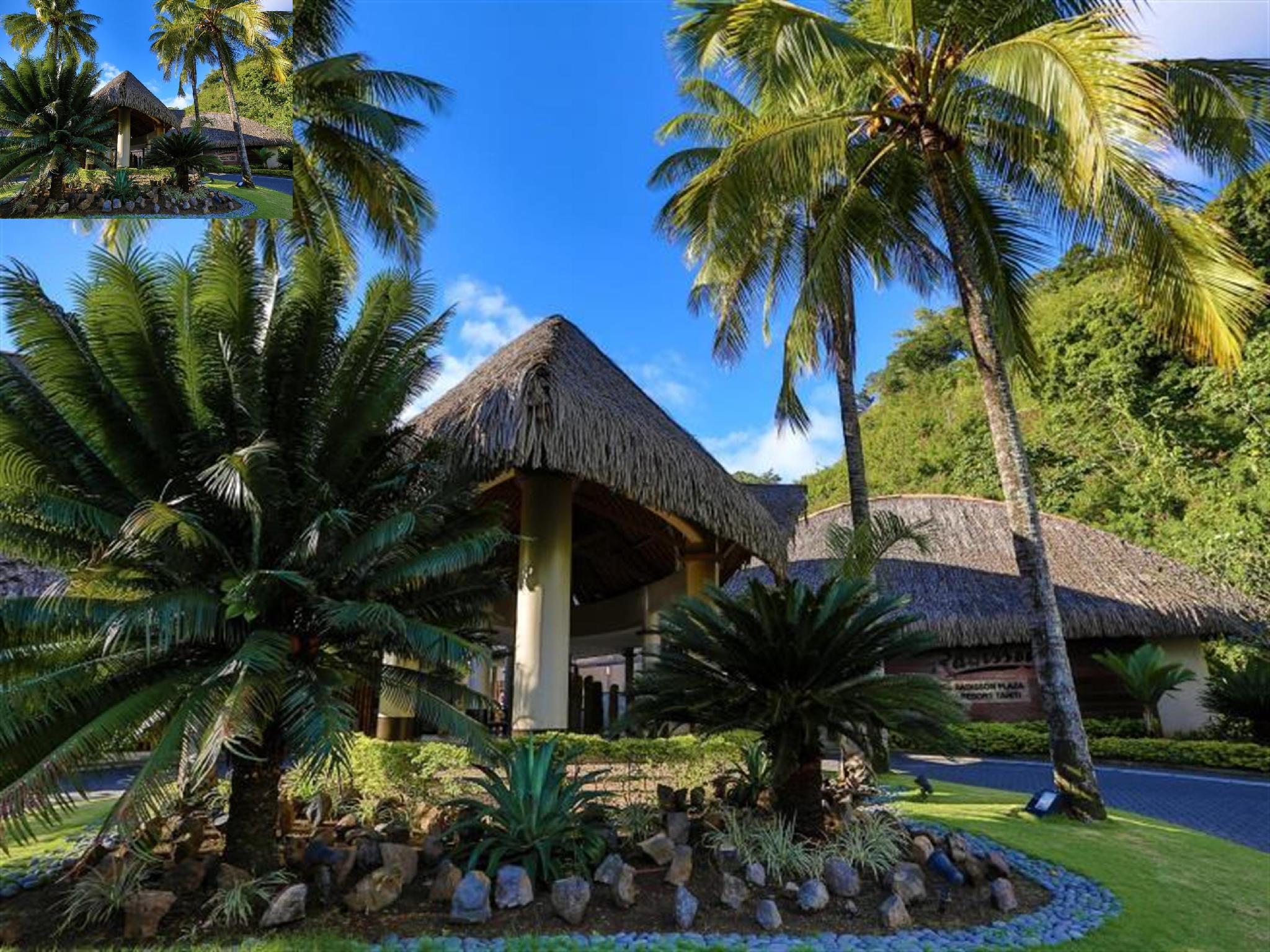 1 Bedroom, Suite, Ocean Front