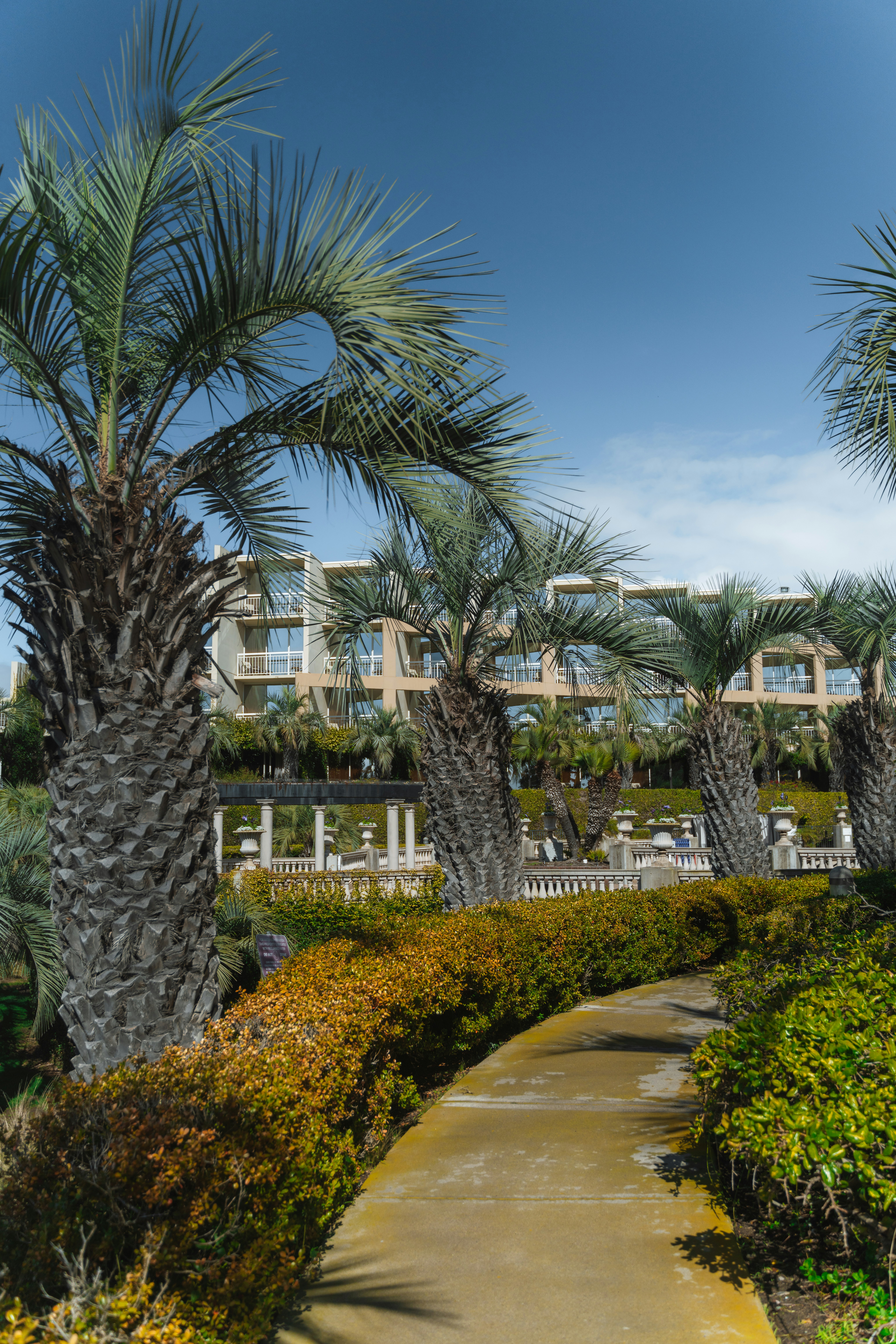 Hilton La Jolla Torrey Pines 28/47