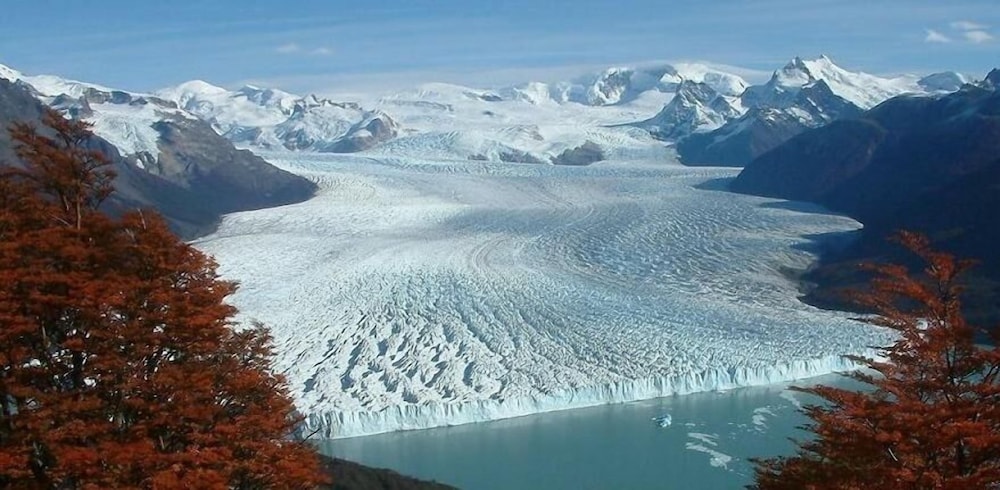 ALTO CALAFATE 46/50