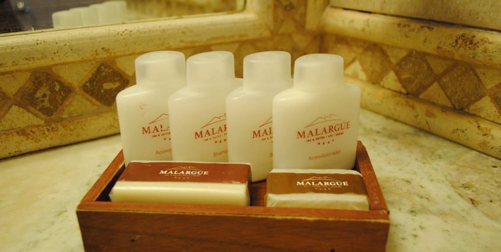 Malargue Inn and Suites 6/22